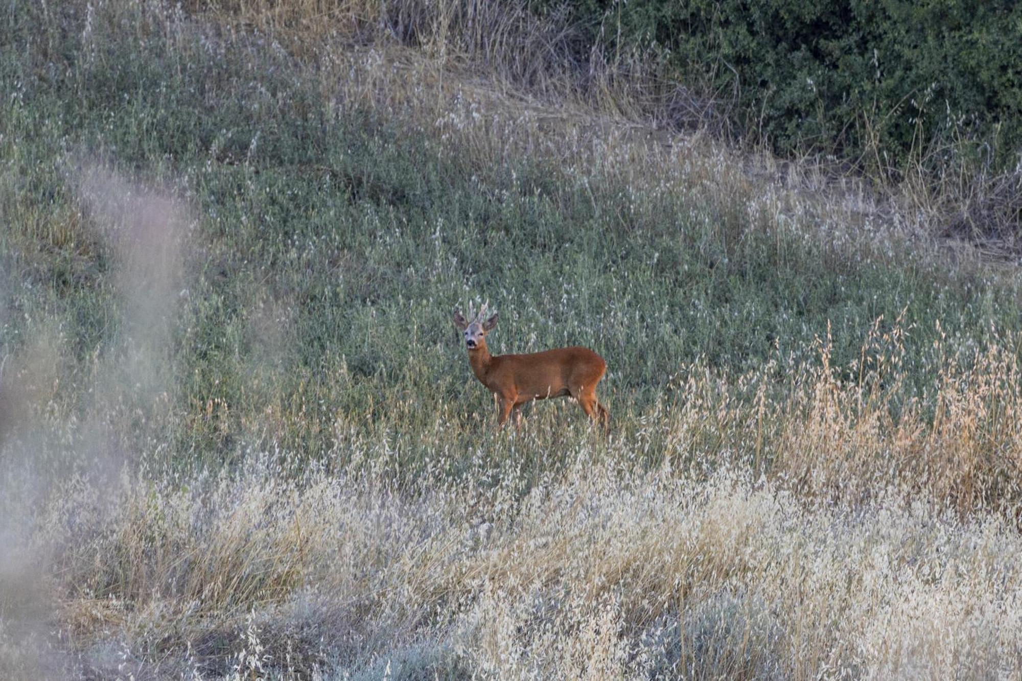 فيلا Vento D'Orcia بيينْسا المظهر الخارجي الصورة